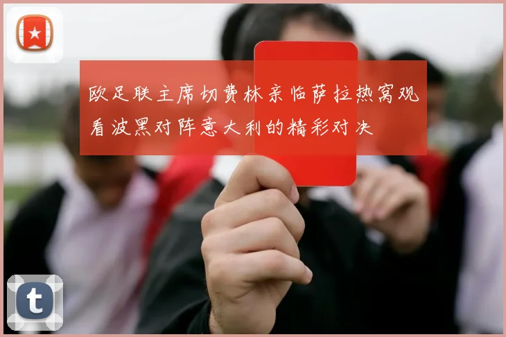 欧足联主席切费林亲临萨拉热窝观看波黑对阵意大利的精彩对决